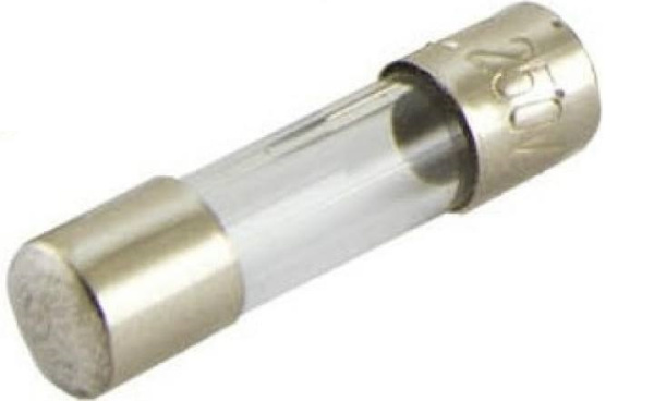 55676116